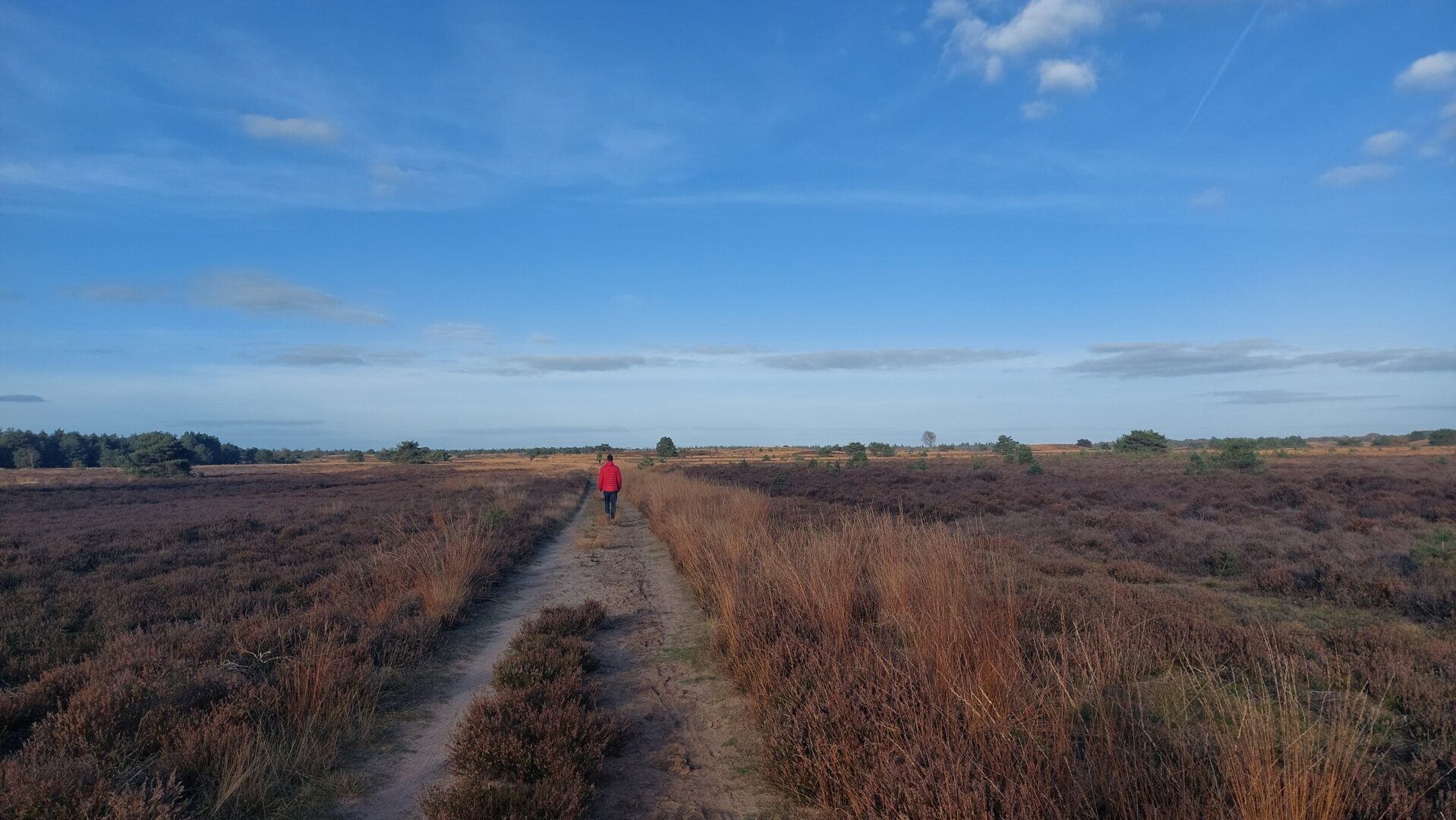 Coachprogramma: Man van Betekenis